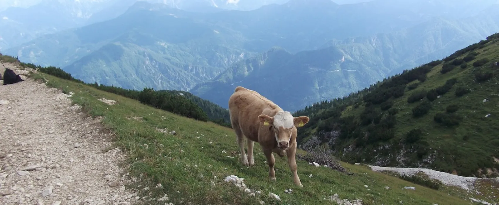 Camping Breznik - Turnersee