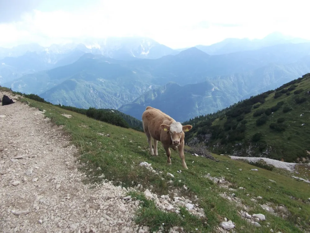 Camping Breznik - Turnersee