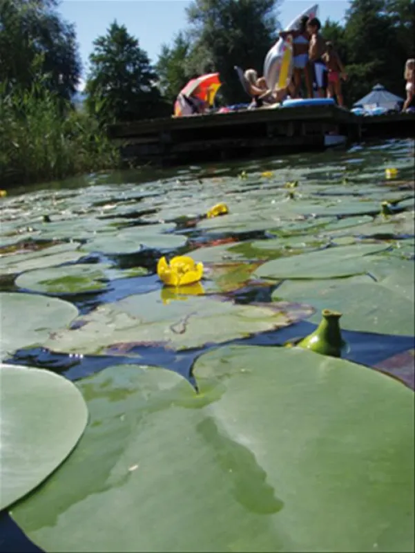 Camping Breznik - Turnersee