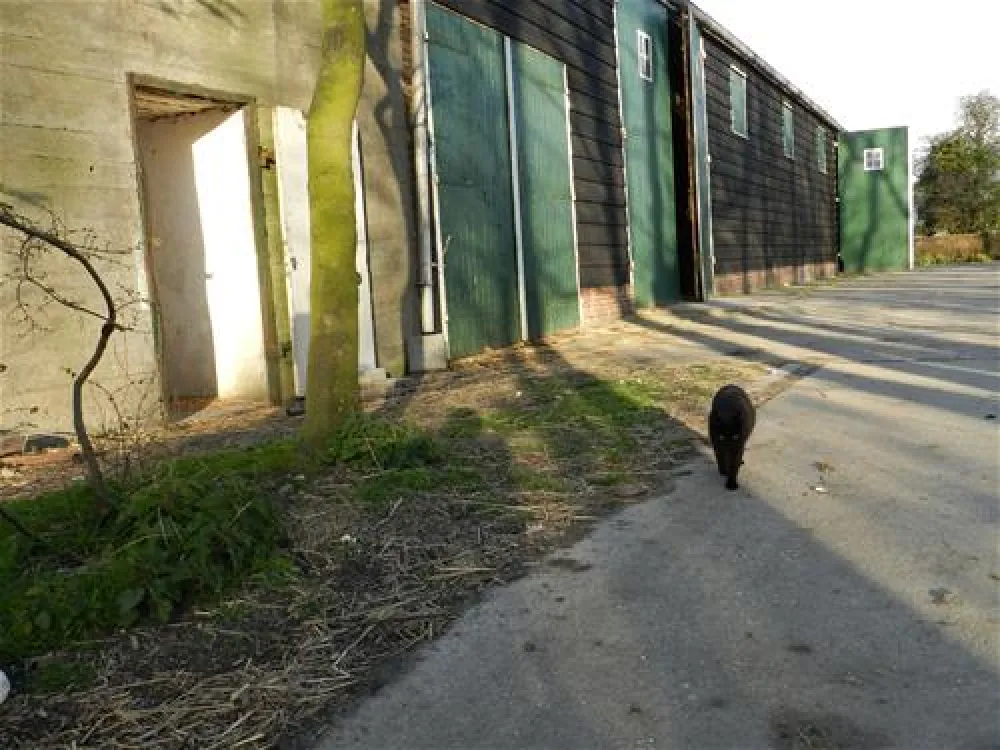 Camping Roos en Doorn