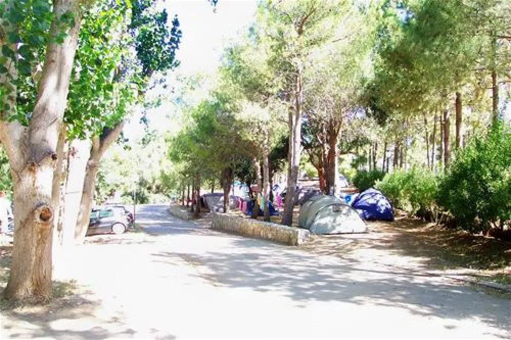 Camping Bodri  