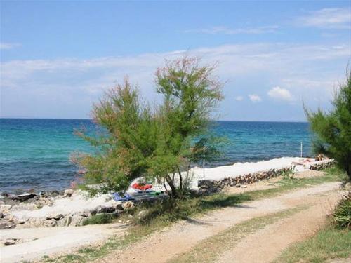Camping Porat photo 3