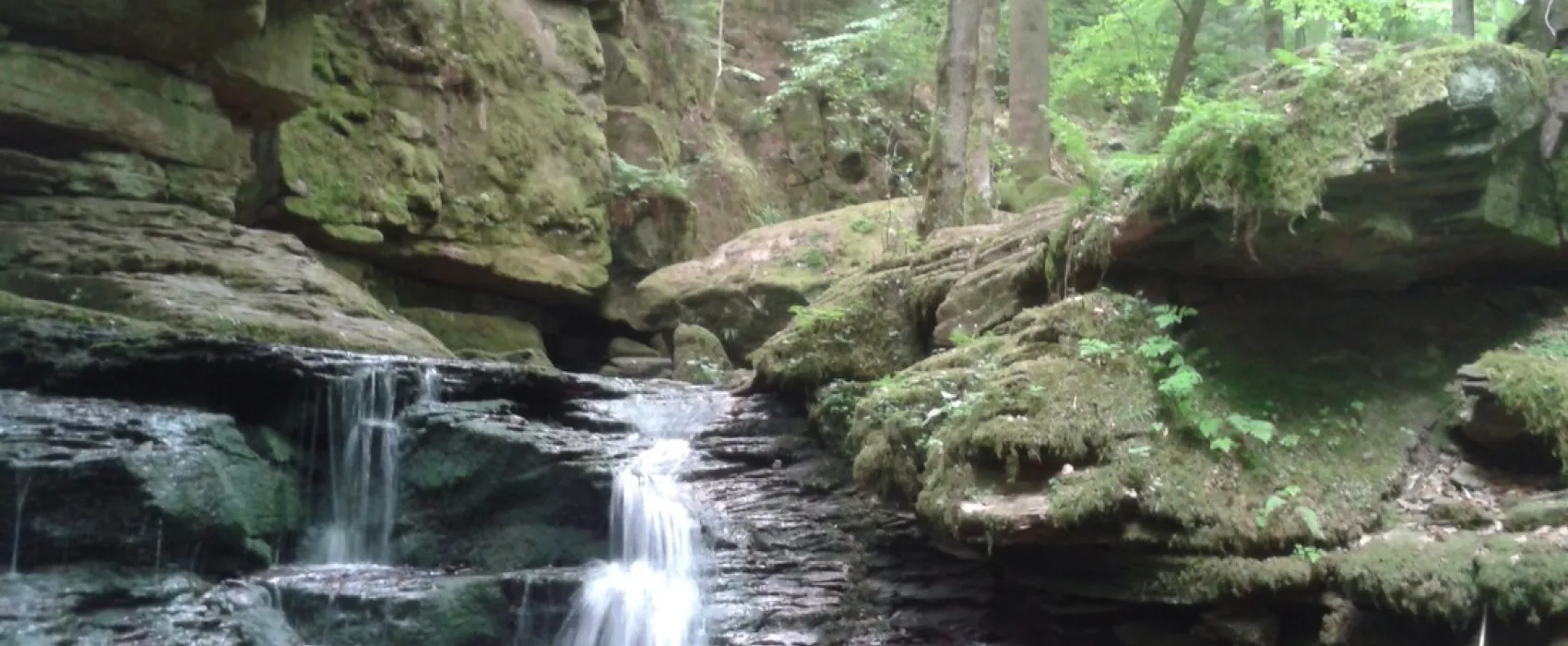 Camping Tintesmühle