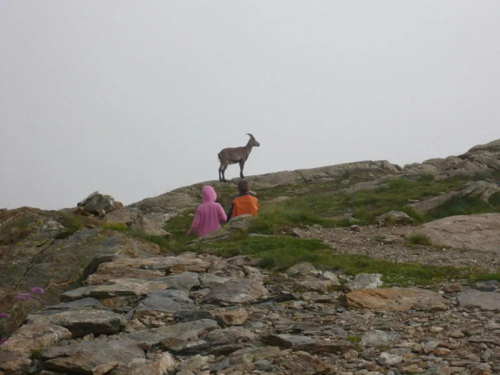 Campeggio Sotto il Faggio