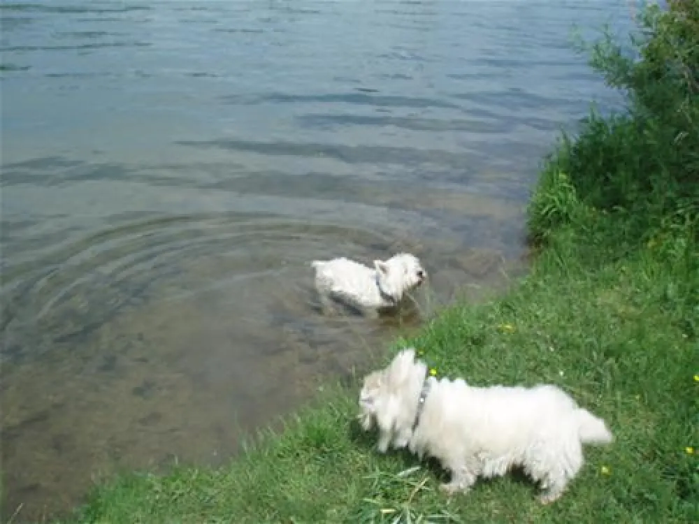 Campingpark Kalletal am Stemmer See