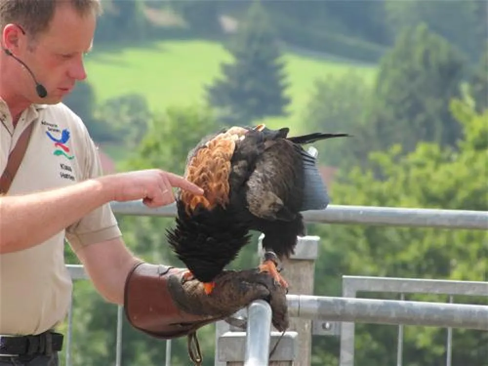 Campingpark Kalletal am Stemmer See