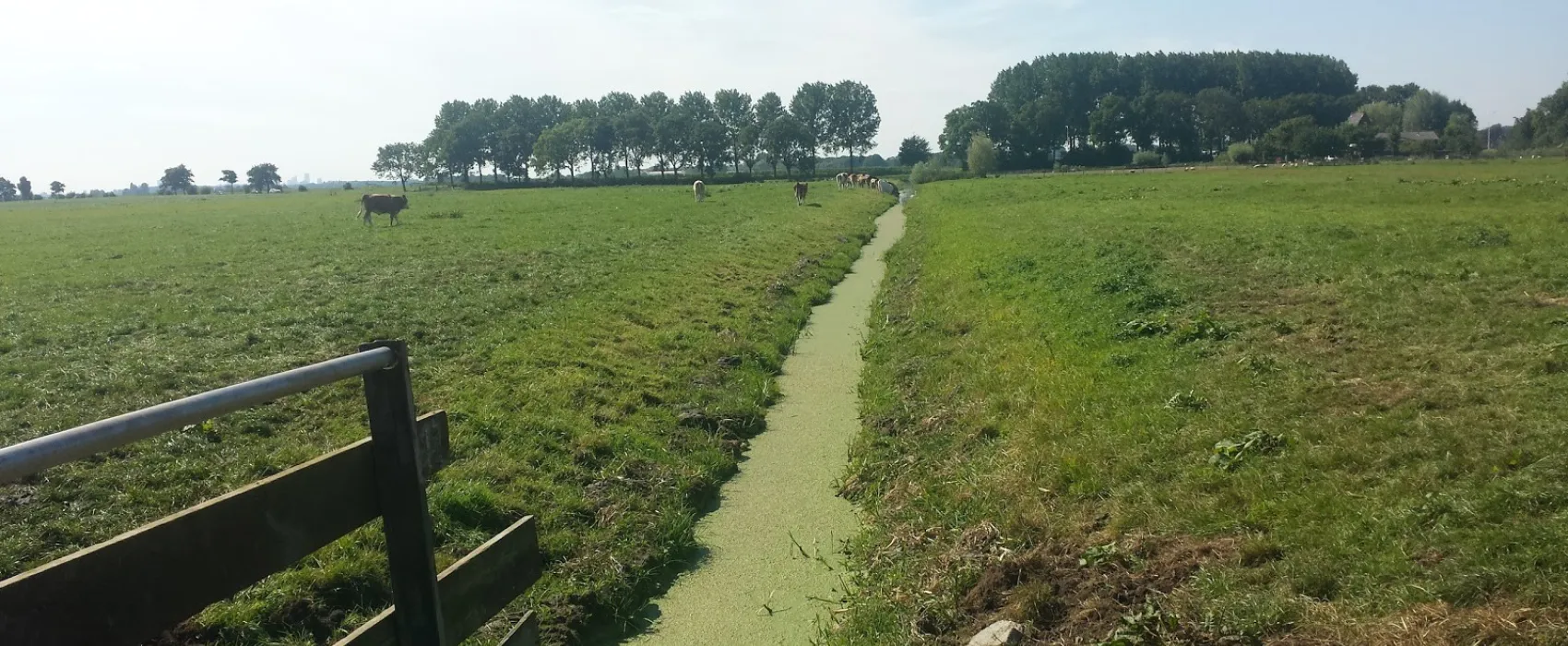 Camping Kaasboerderij Rustdam