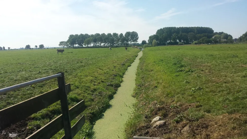 Camping Kaasboerderij Rustdam