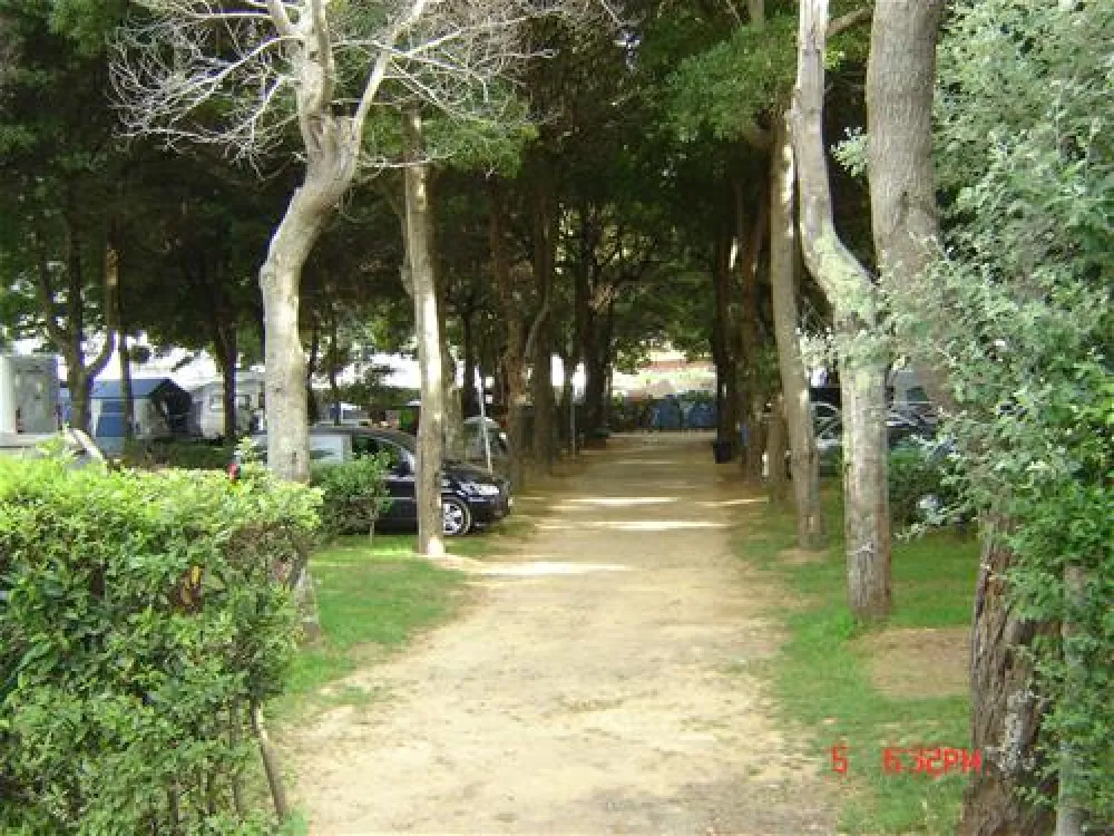 Camping Vivero