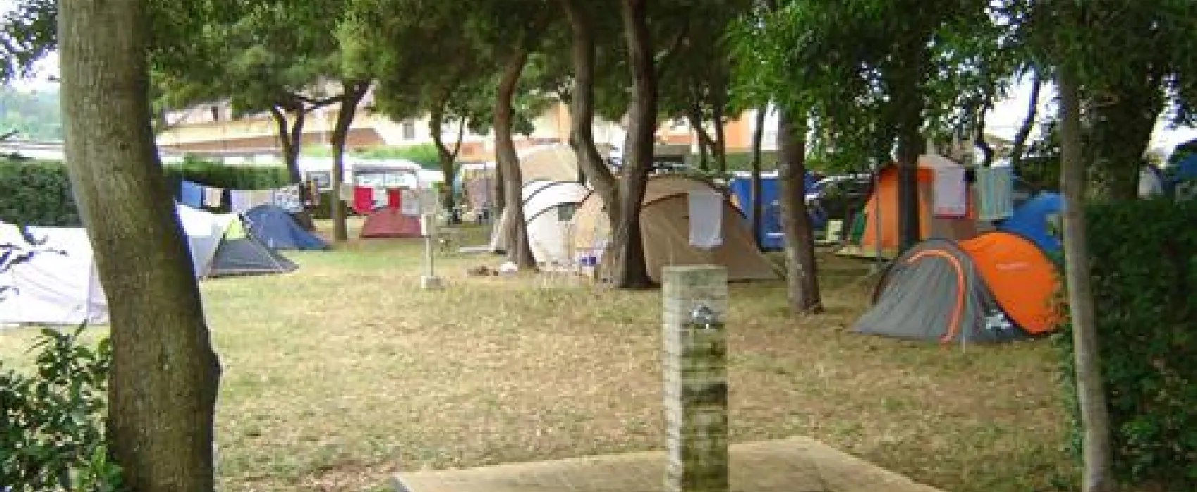 Camping Vivero