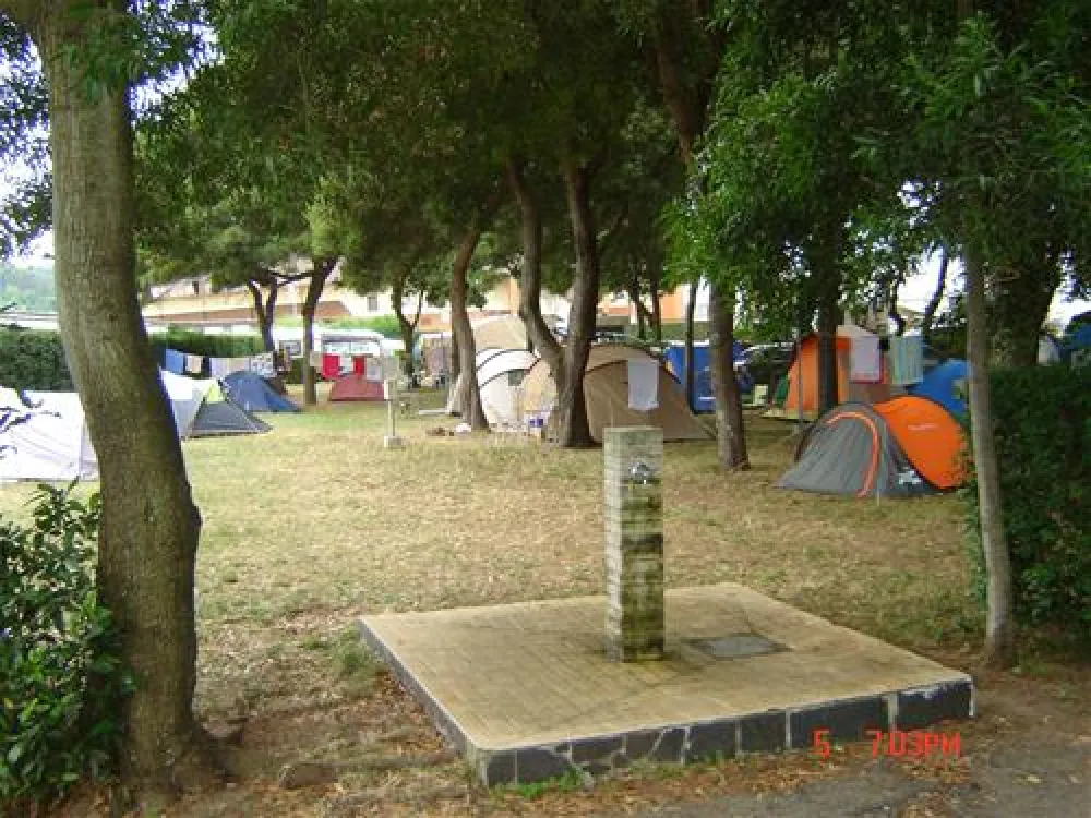 Camping Vivero
