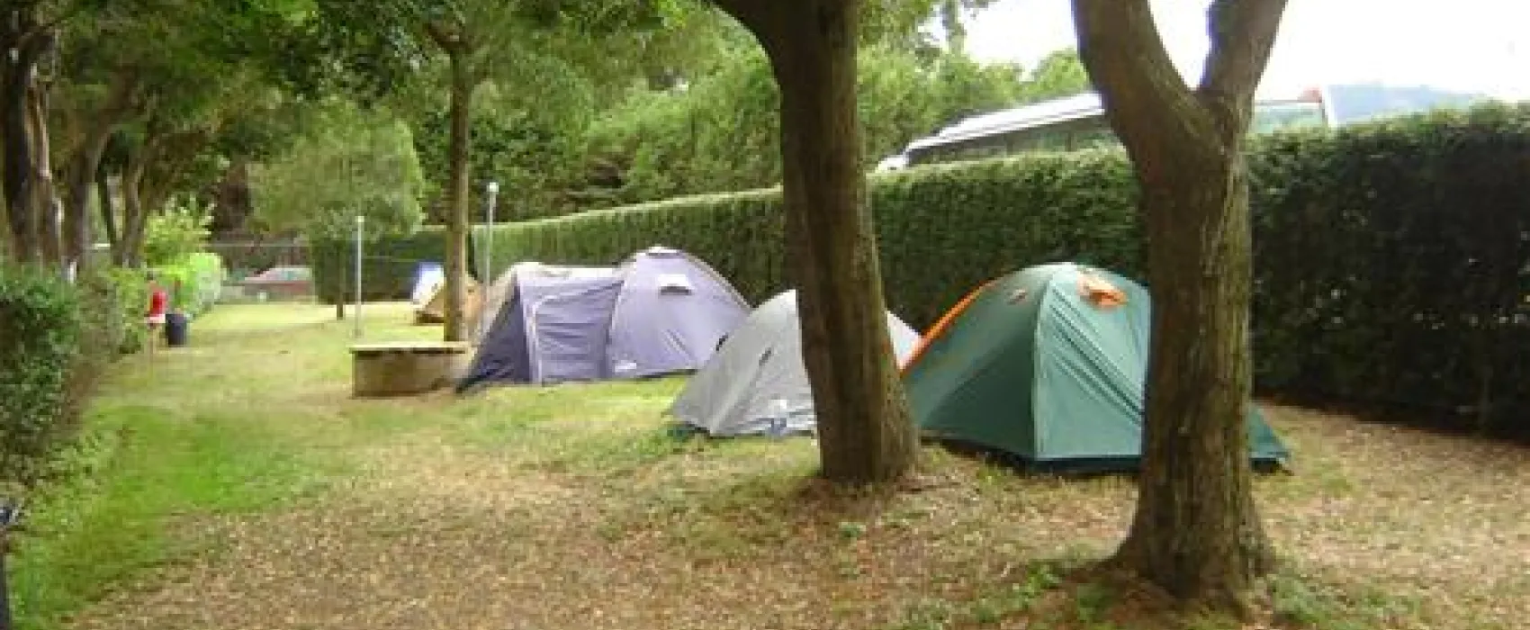 Camping Vivero