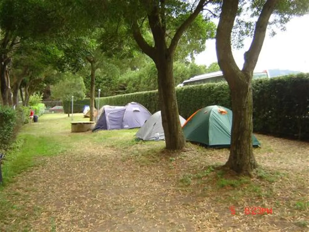 Camping Vivero
