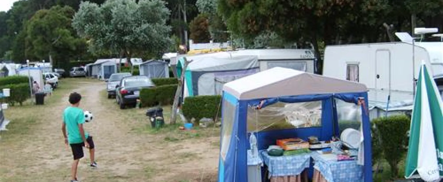 Camping Vivero
