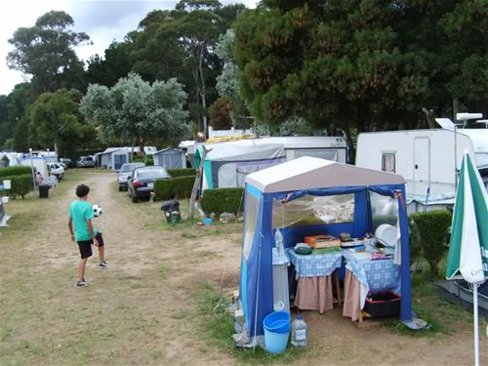 Camping Vivero