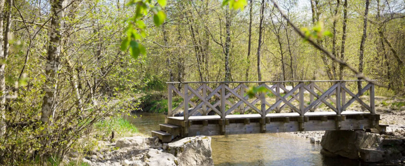 Førde Gjestehus og Camping