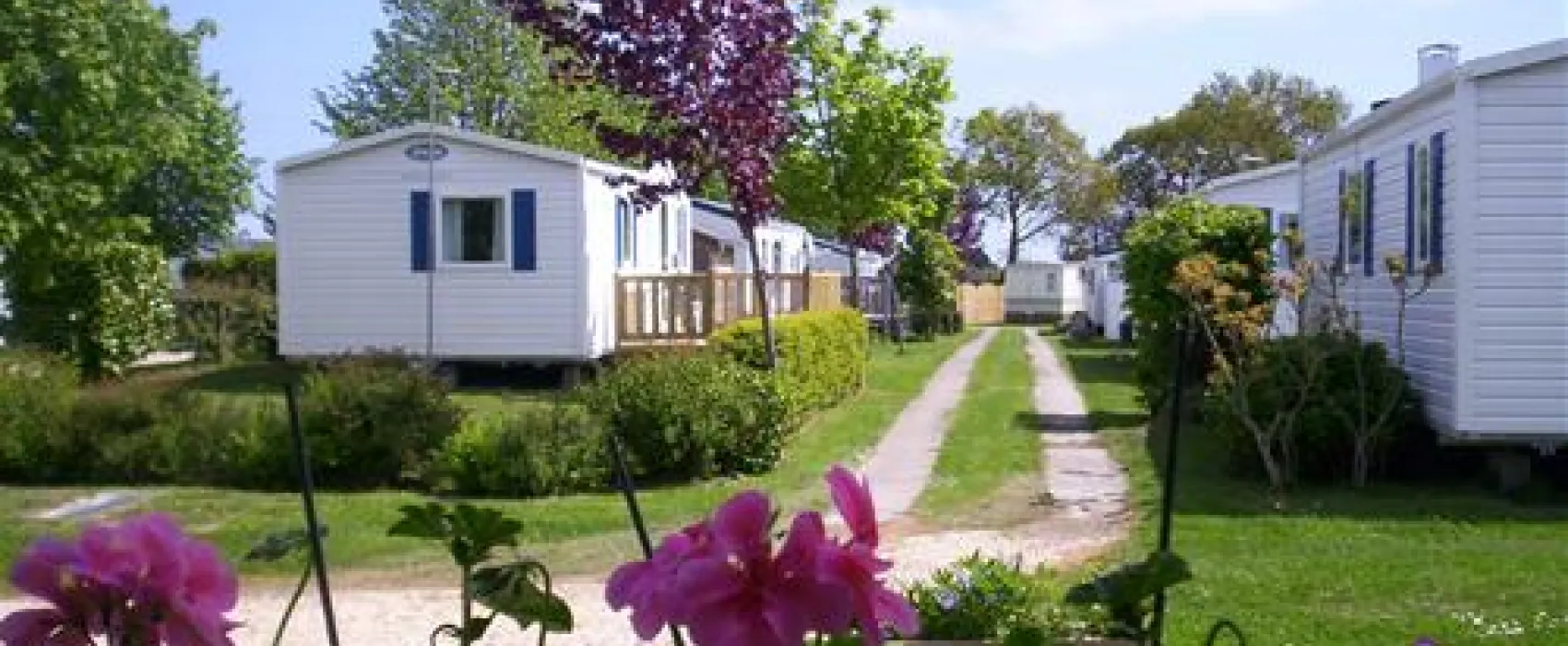 Camping La Petite Ville