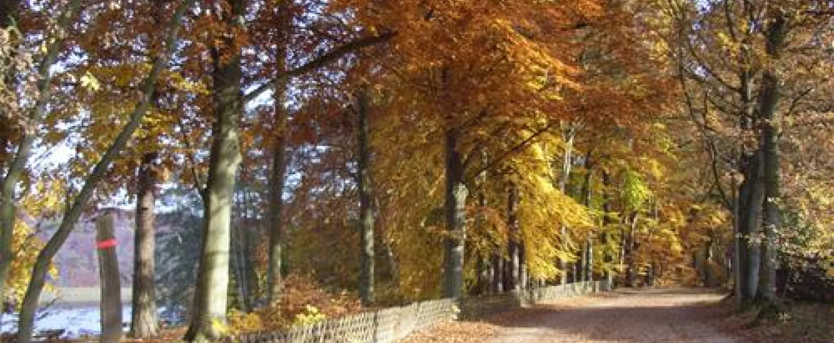 Campingplatz Stendenitz
