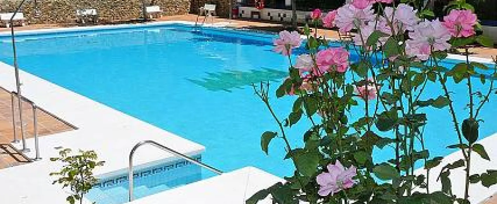 Camping los Eucaliptos