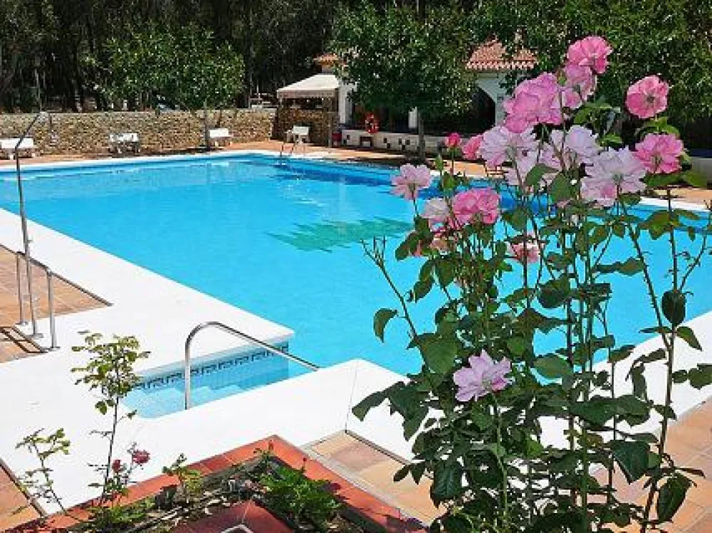 Camping los Eucaliptos