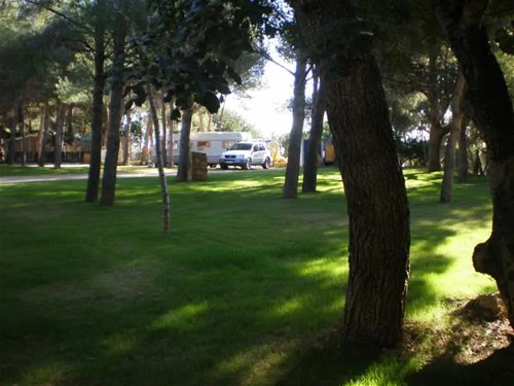 Camping La Torre del Sol