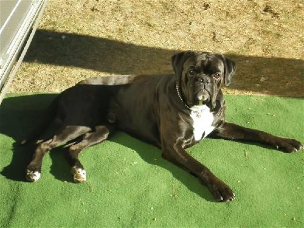 Camping La Torre del Sol