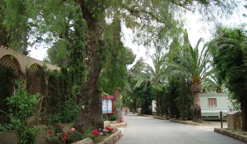 Camping La Torre del Sol