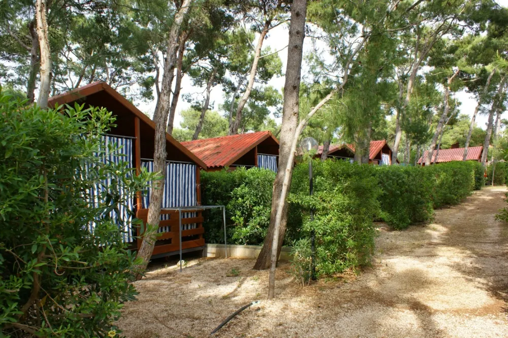 Campeggio Pineta al Mare