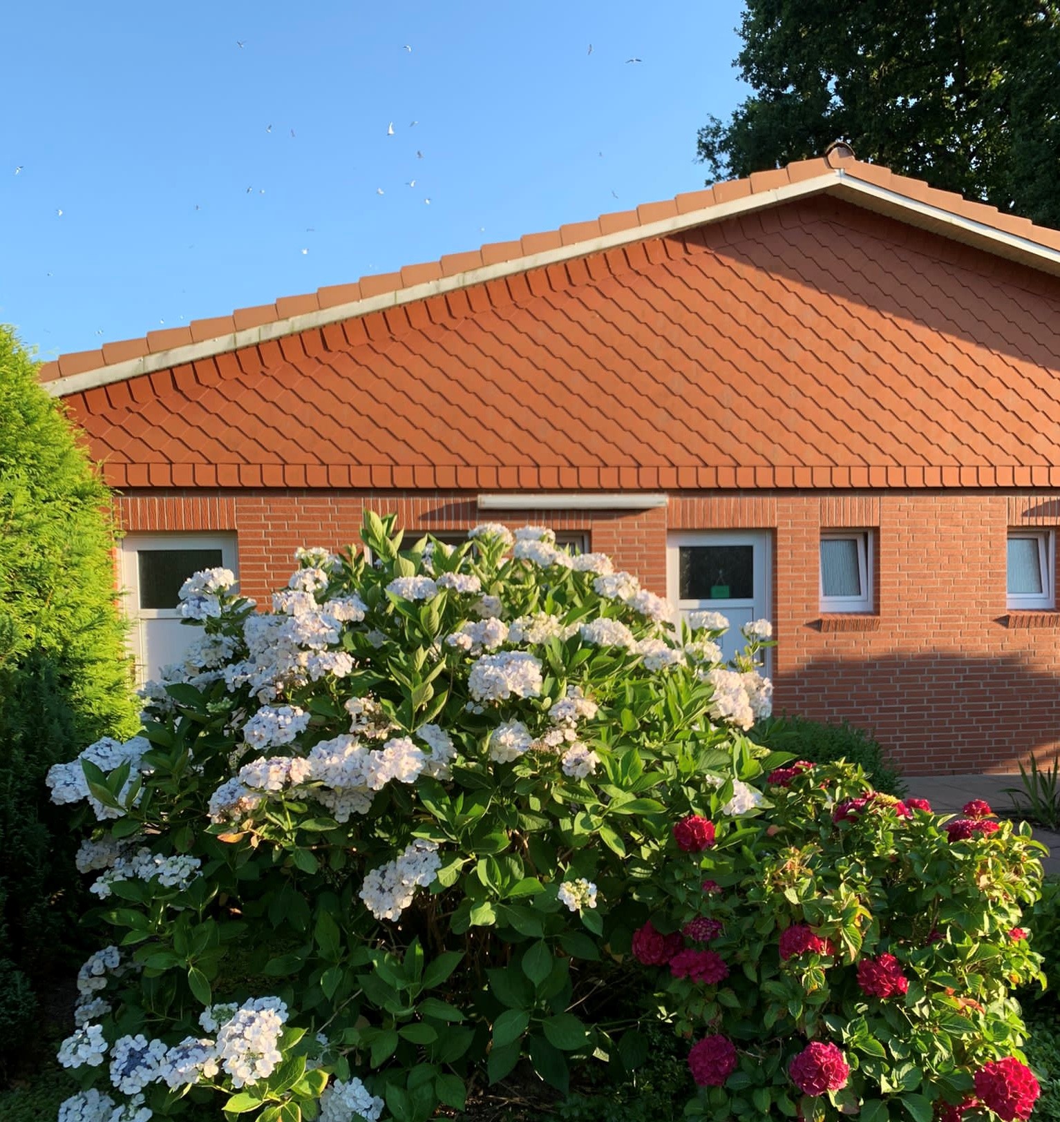 ZIMDARS CampingResort in Deutschland - Spottocamp - Spottocamp