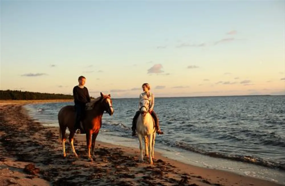 Roosta Holiday Village