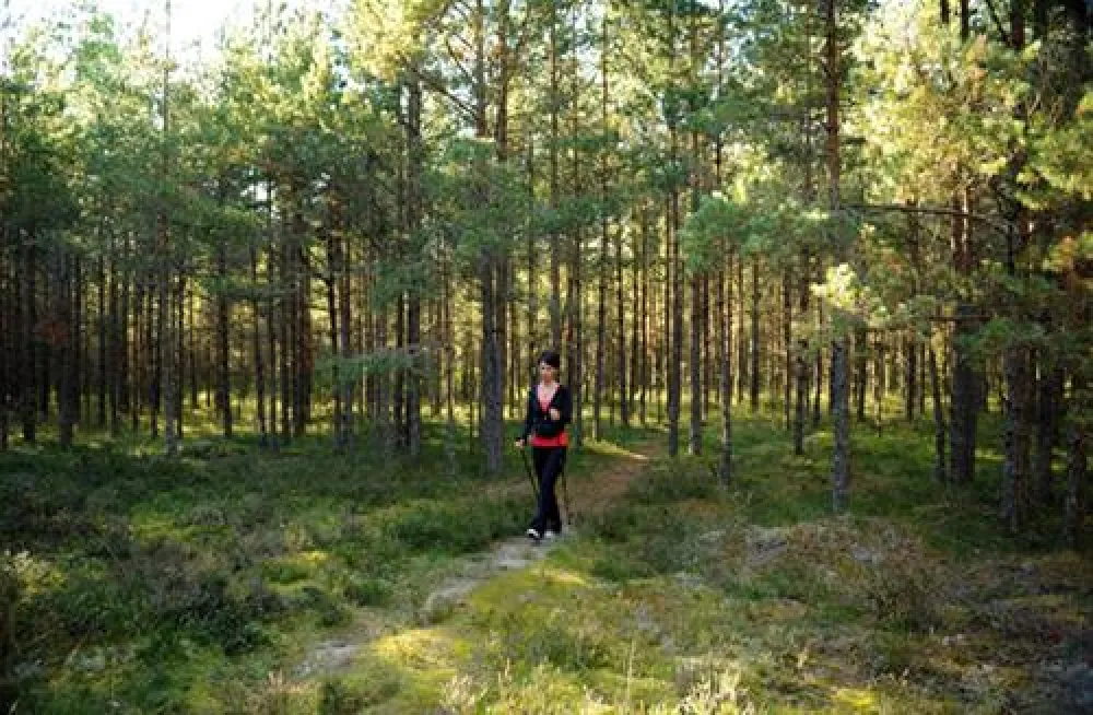 Roosta Holiday Village