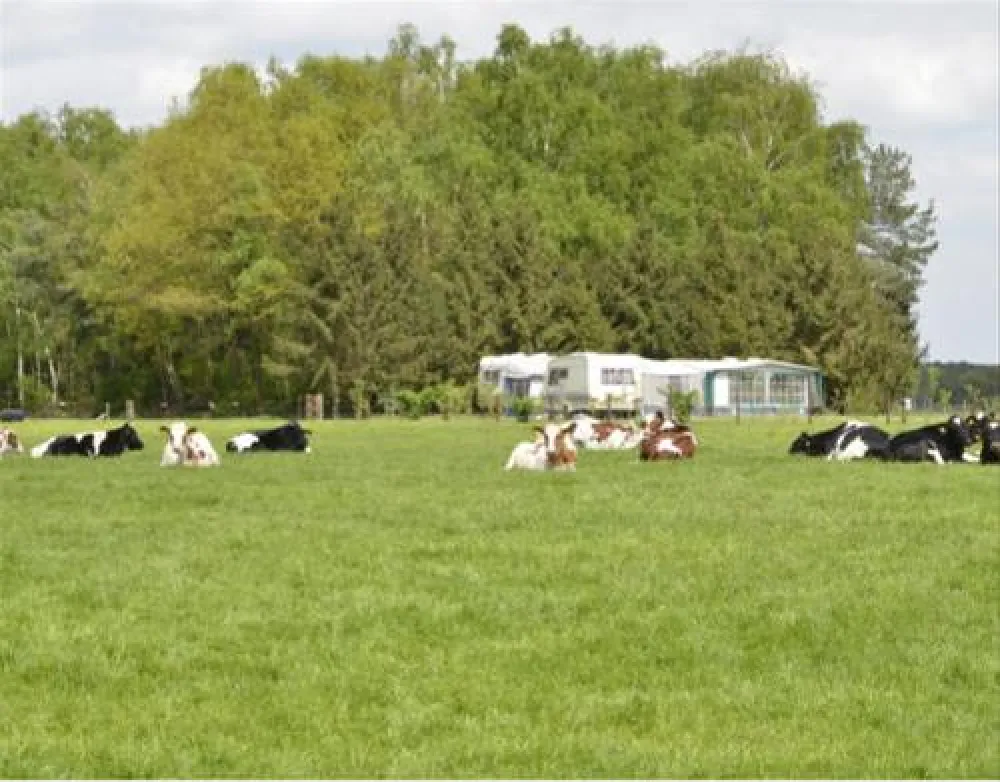 Camping Wolfersweide