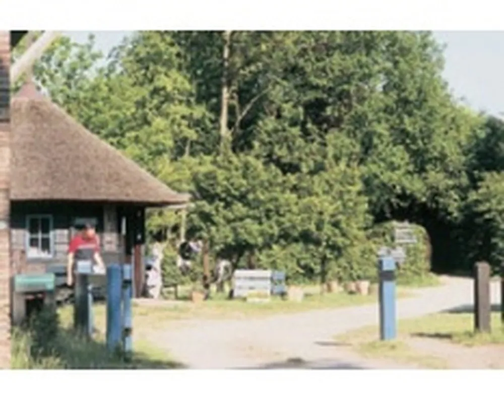 Natuurkampeerterrein Het Hallse Hull