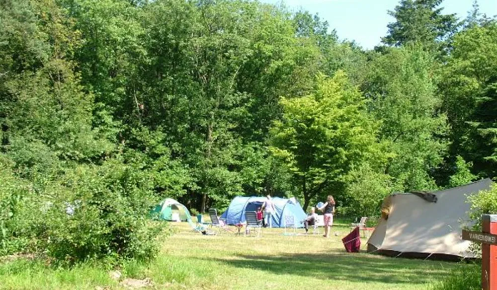 Natuurkampeerterrein Het Hallse Hull