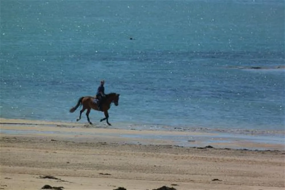 Camping Flower du Golf