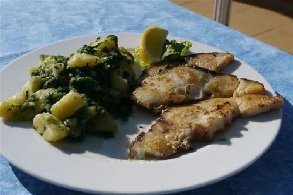 Camping Zelena Laguna