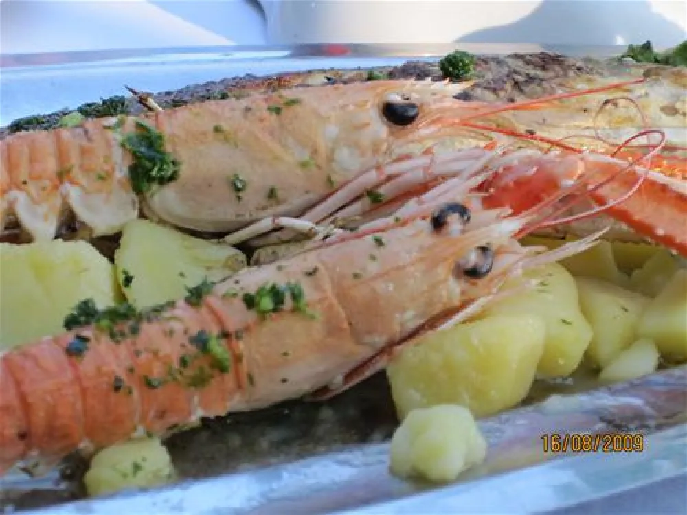 Camping Zelena Laguna