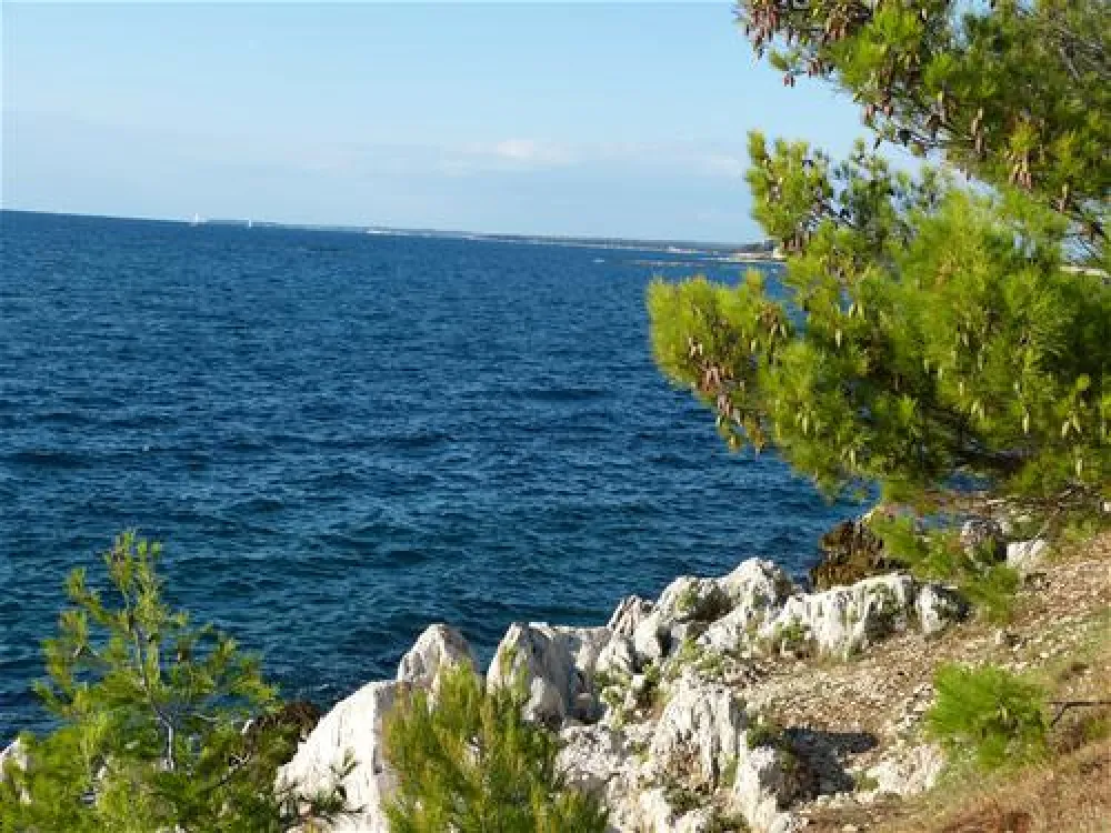 Camping Zelena Laguna