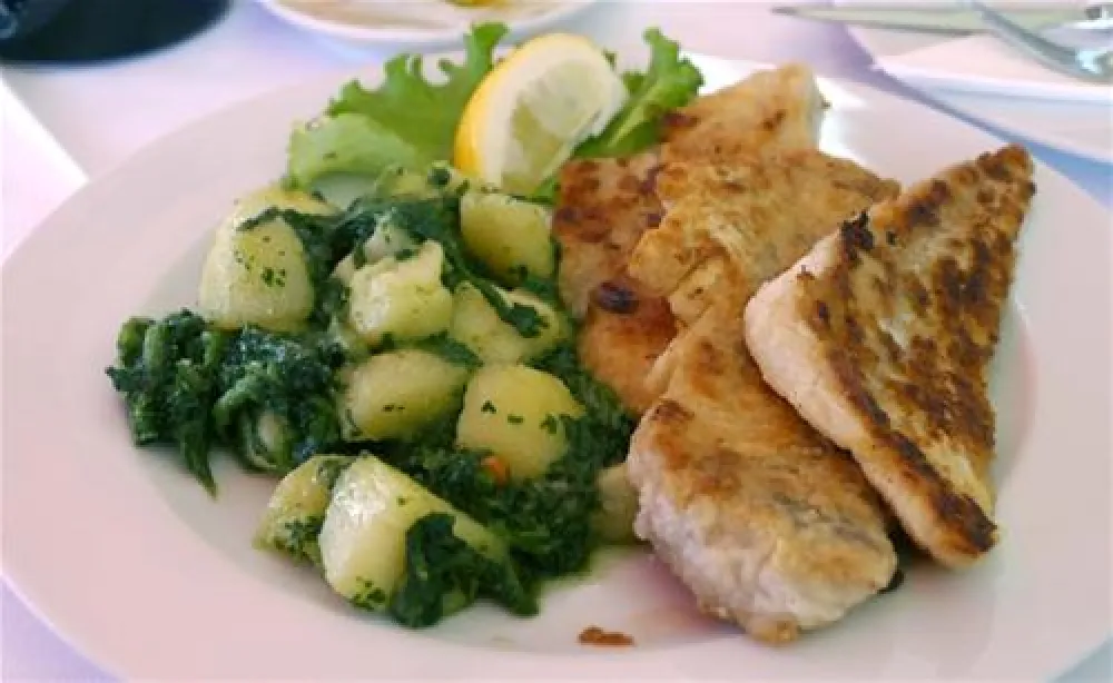 Camping Zelena Laguna