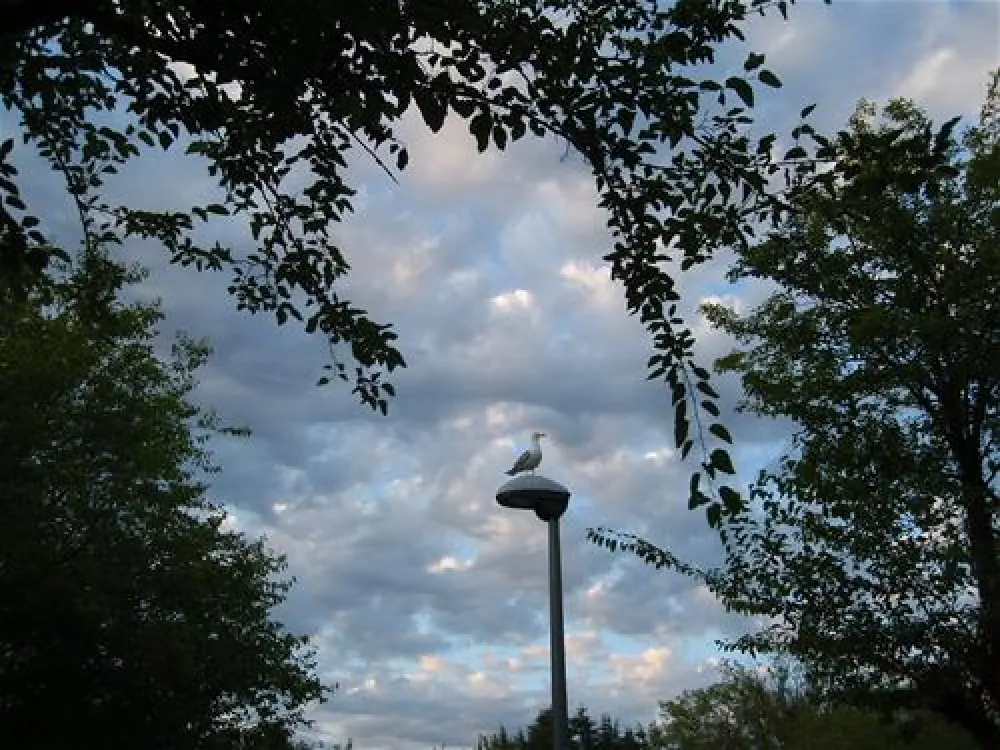 Camping Zelena Laguna