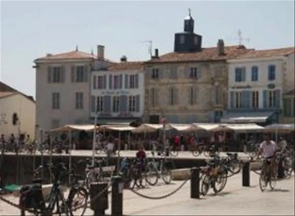 Flower Camping Bel Air