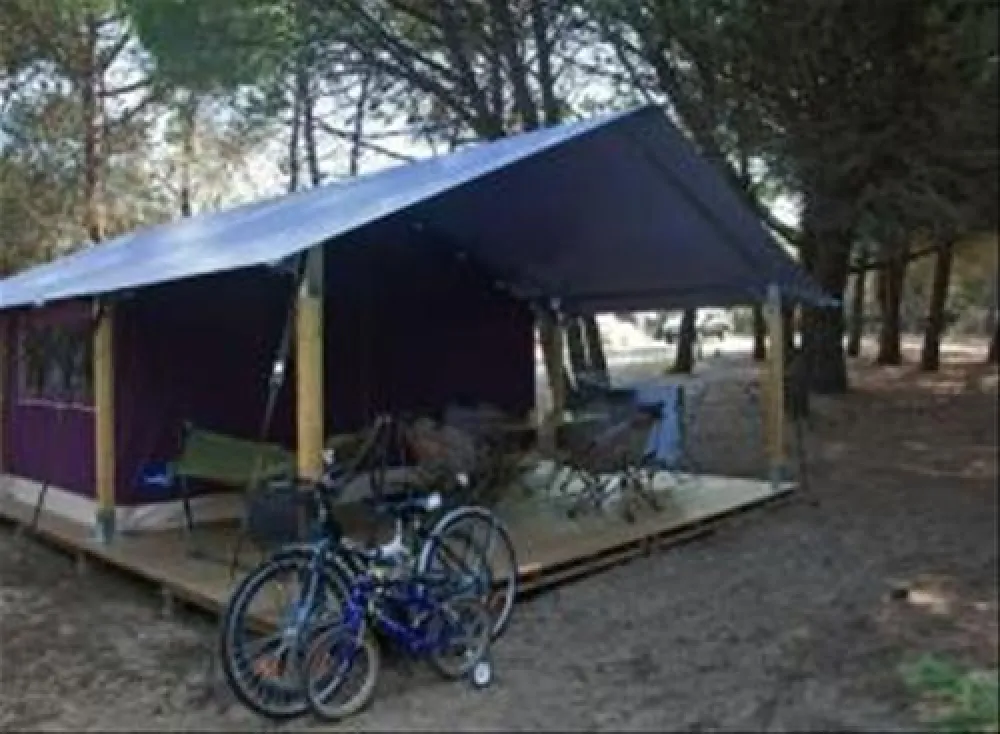 Flower Camping Bel Air