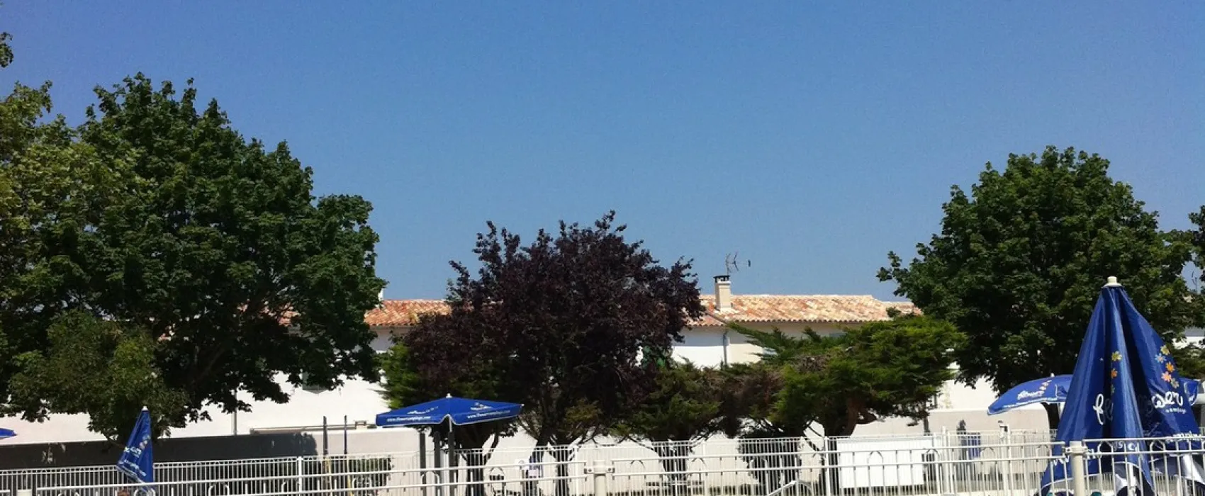 Flower Camping Bel Air