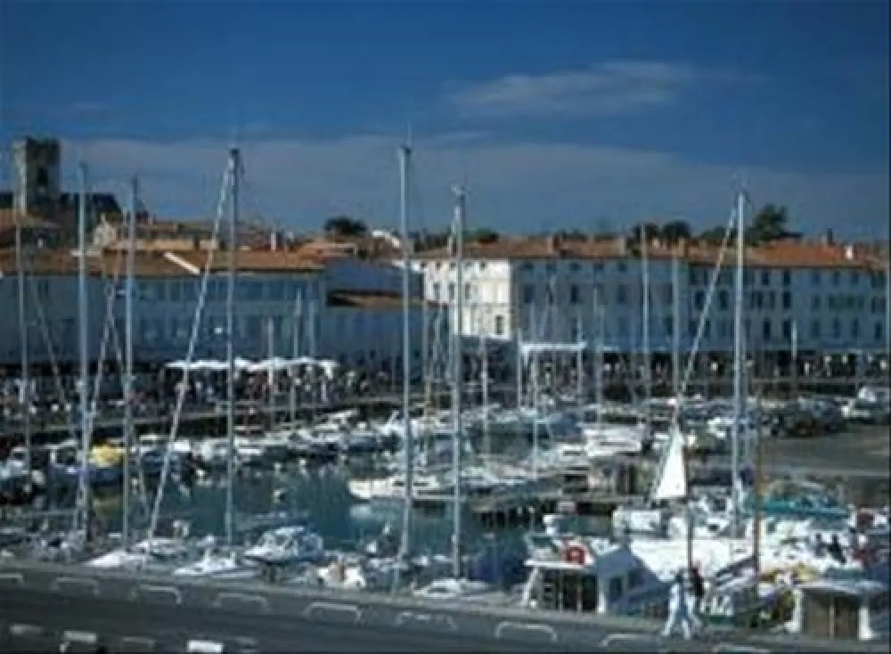 Flower Camping Bel Air