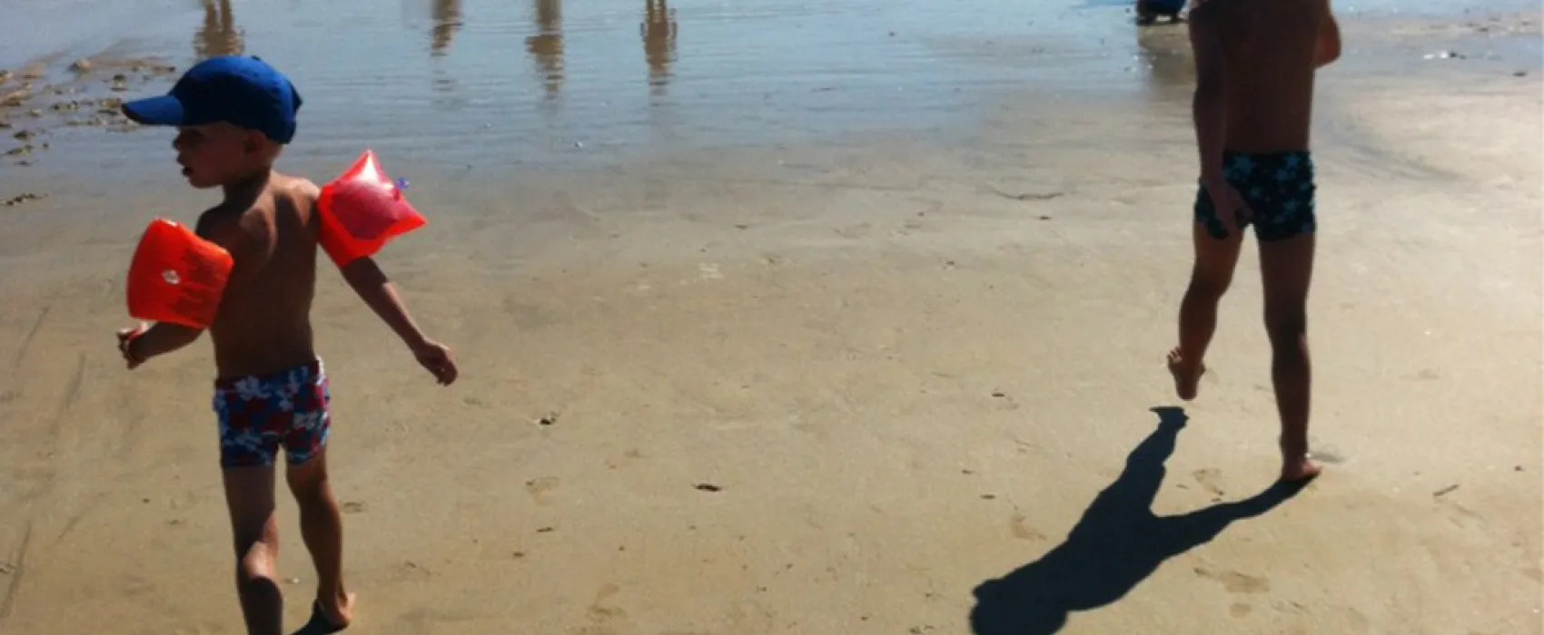 Flower Camping Bel Air