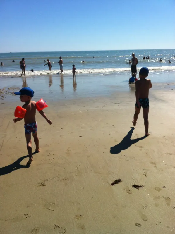 Flower Camping Bel Air