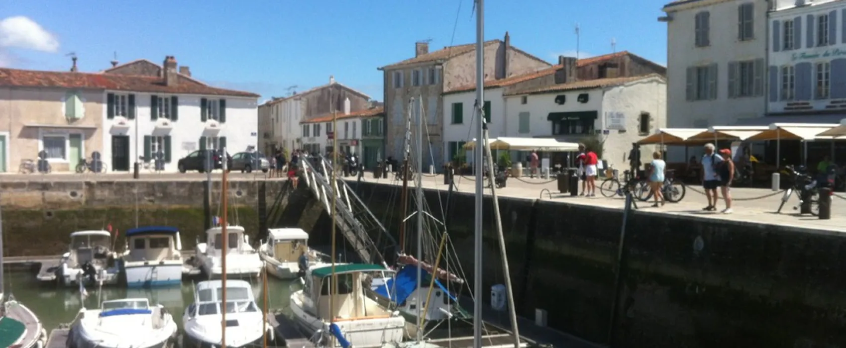 Flower Camping Bel Air