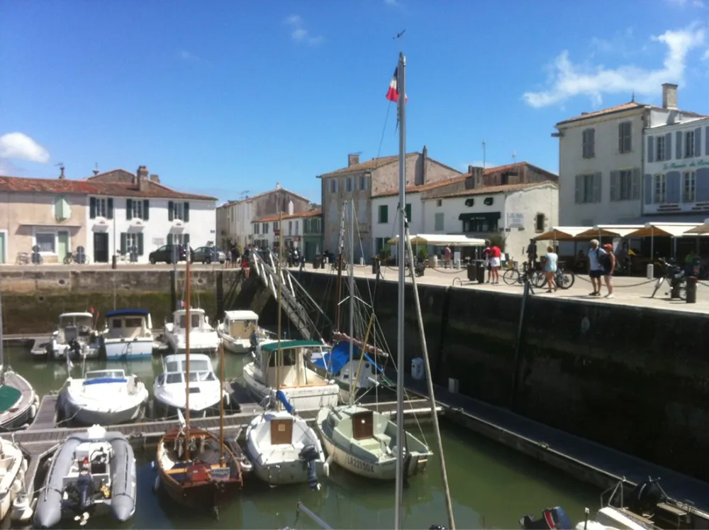 Flower Camping Bel Air