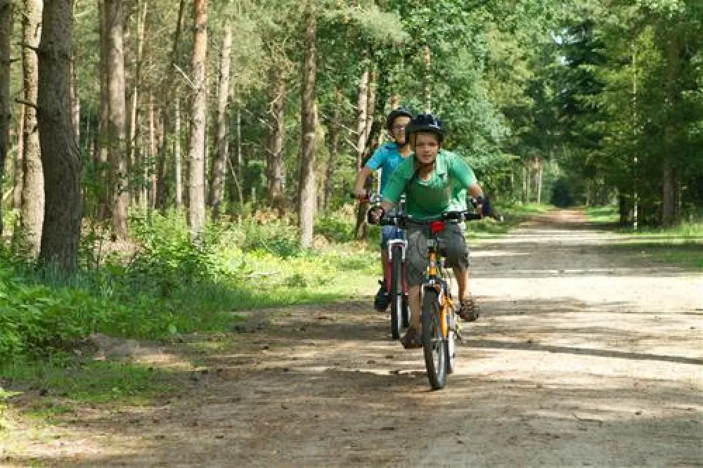 Camping De Kleine Wolf