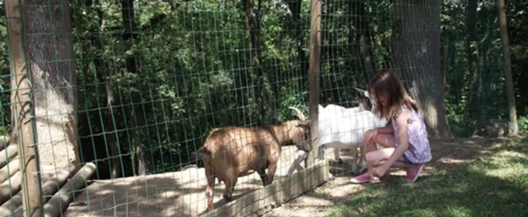 Camping*** Domaine Saint-laurent  